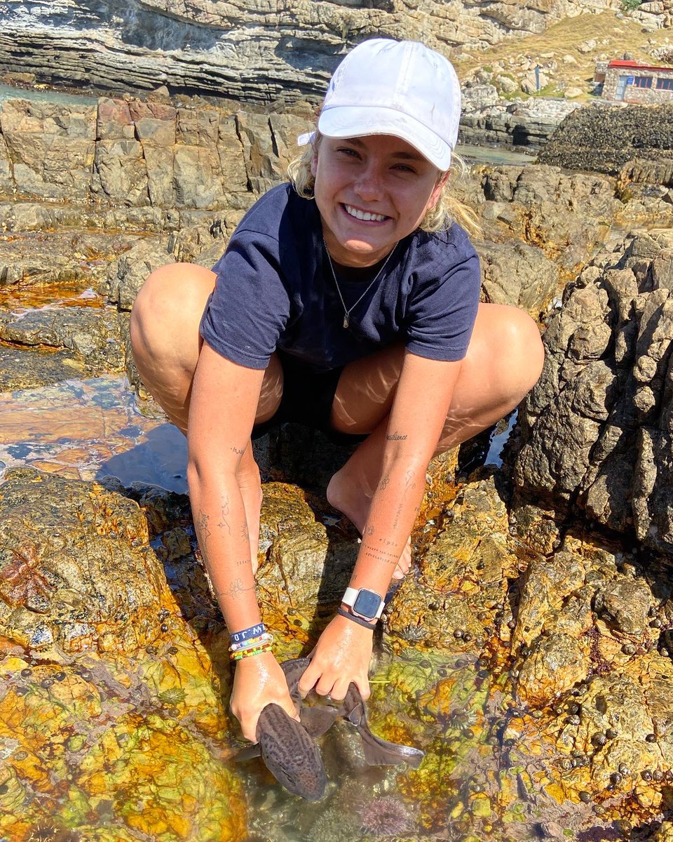 South African Shark Conservancy tweet media