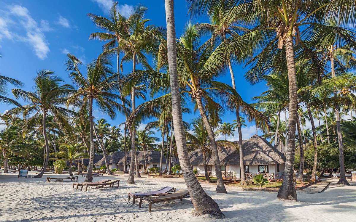 HolidayDealers's tweet photo. 𝐁𝐫𝐨𝐚𝐝𝐞𝐧 𝐘𝐨𝐮𝐫 𝐒𝐩𝐞𝐜𝐭𝐫𝐮𝐦 at Diamond Mapenzi Zanzibar ➡️https://t.co/CLqRk7lhQy
#travel #LuxuryTravel #zanzibar #travel #YOLO
#traveling #therapy https://t.co/sQRM9QKqVN