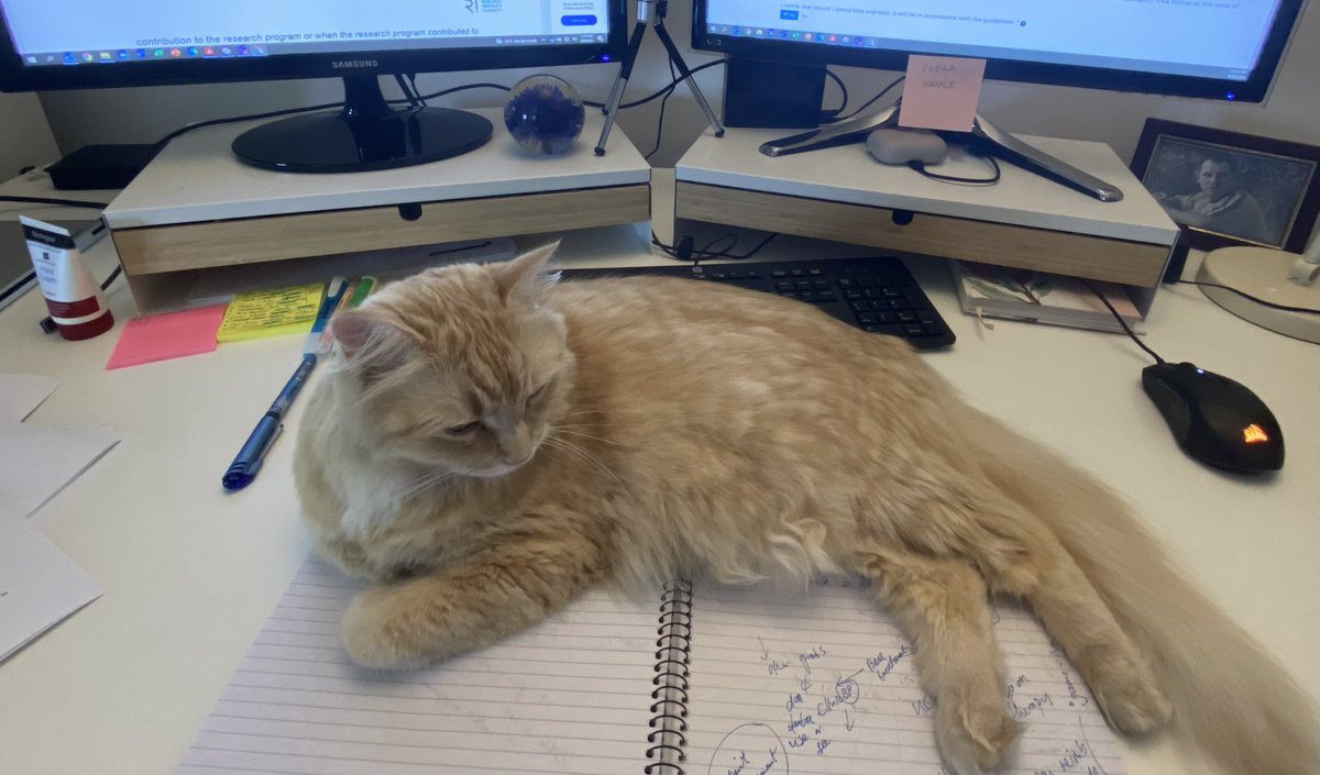 Prof Alta Schutte tweet media