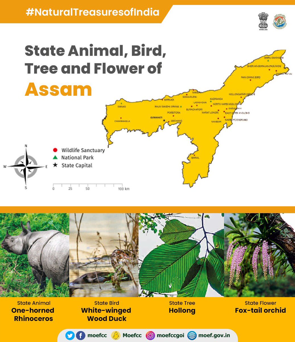 How many of you knew all four?#NaturalTreasuresOfIndia from the state of #Assam