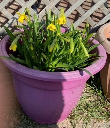 Live Team tweet media