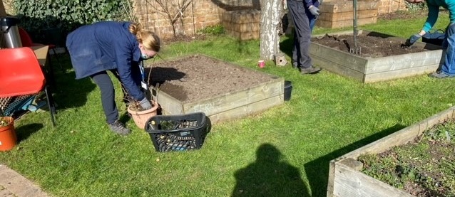 Live Team tweet media