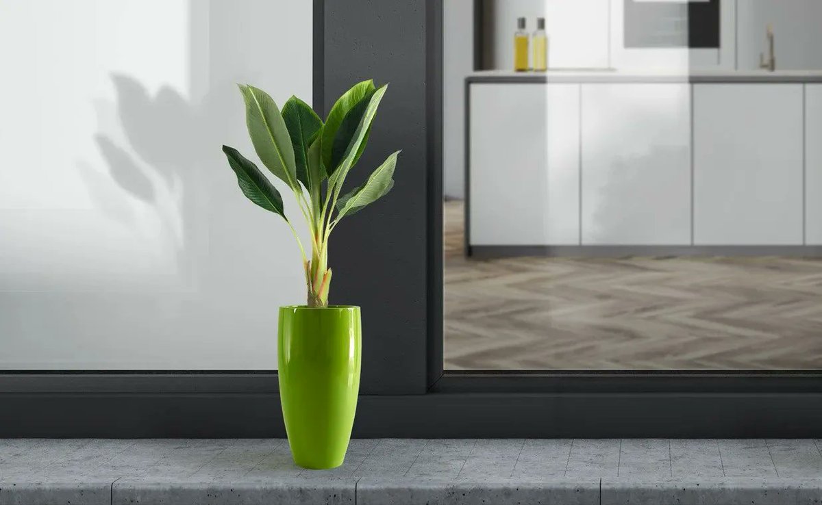 Bonasilaplanter's tweet photo. Inspired by the design of a flower pot, the style of Cilita is one of the most versatile designs, it looks perfect indoors, outdoors & also on the top of the table.
#cilita #FRPPlanters #fiberglassplanters #fiberglasspots #frppots #homedecor #homeimprovement #bonasila https://t.co/vwNOrz00g9