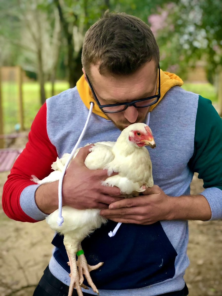 Please retweet if you want to see a world where animals are shown compassion and consideration instead of cruelty and contempt. 🧡