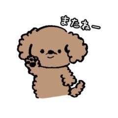 Follow Ys S Ysstampcoco Latest Tweets Twitter