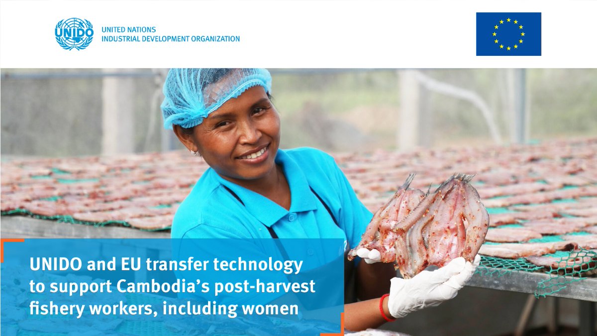UNIDO's tweet photo. “I'm finally going to fulfill my dream, after experiencing many failures & challenges,” says Ponny.
The #EU-funded #UNIDO CAPFish Capture project supports post-harvest fisheries development in Cambodia.
Read more🐟https://t.co/vEUXnNLD2B
#UNIDO_EU #IWD2022 #UNIDOgender https://t.co/6FxoFGroAO