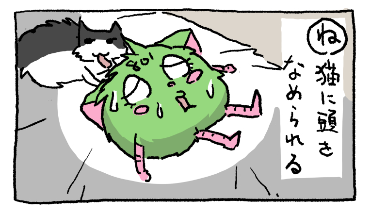 長毛種の猫の毛づくろいはしつこい 