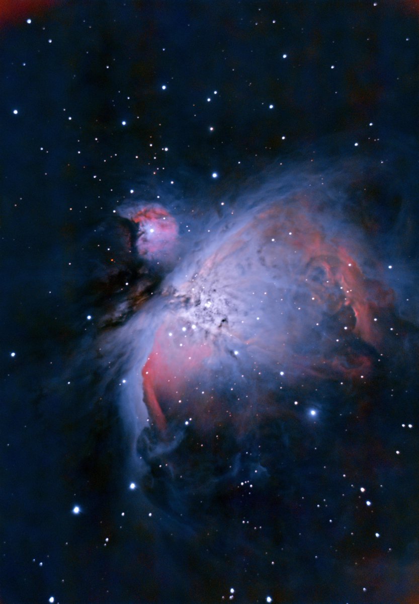 redditSpaceView's tweet photo. Everyone images Orion because he’s good to practice on. 43-minute integration from my backyard (Bortle 9). https://t.co/OlBwWIt3QP