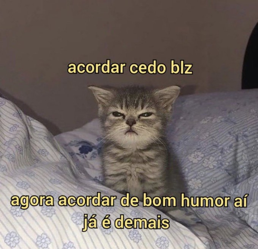 FreeCoBrasil's tweet photo. difícil ter bom humor logo cedo https://t.co/jFNLcPGCO3