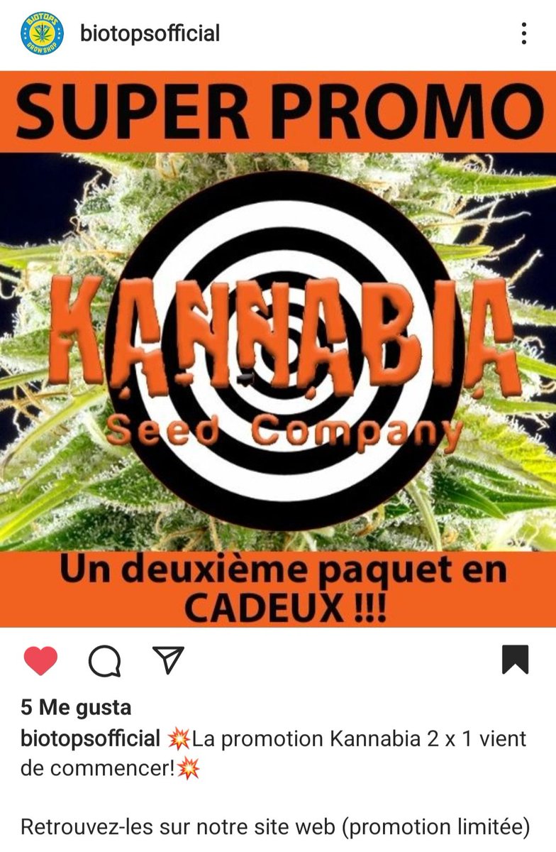 KannabiaSeeds's tweet photo. 🔊 Al loro con la #PROMO #Kannabia en nuestros amigos #kannabistas de @BiotopsBiz @biotops  😃😍🥳💚
Link: https://t.co/Re6uj0r46R

#BioTops #CannabisCommunity #cannabisindustry https://t.co/UdbaKJNOFZ