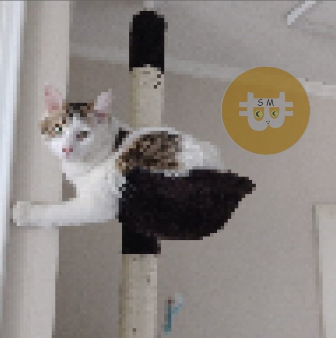 saylorcatmoon's tweet photo. Let's pump it #saylortothemoon  #BTC https://t.co/O2CYWjwJHe