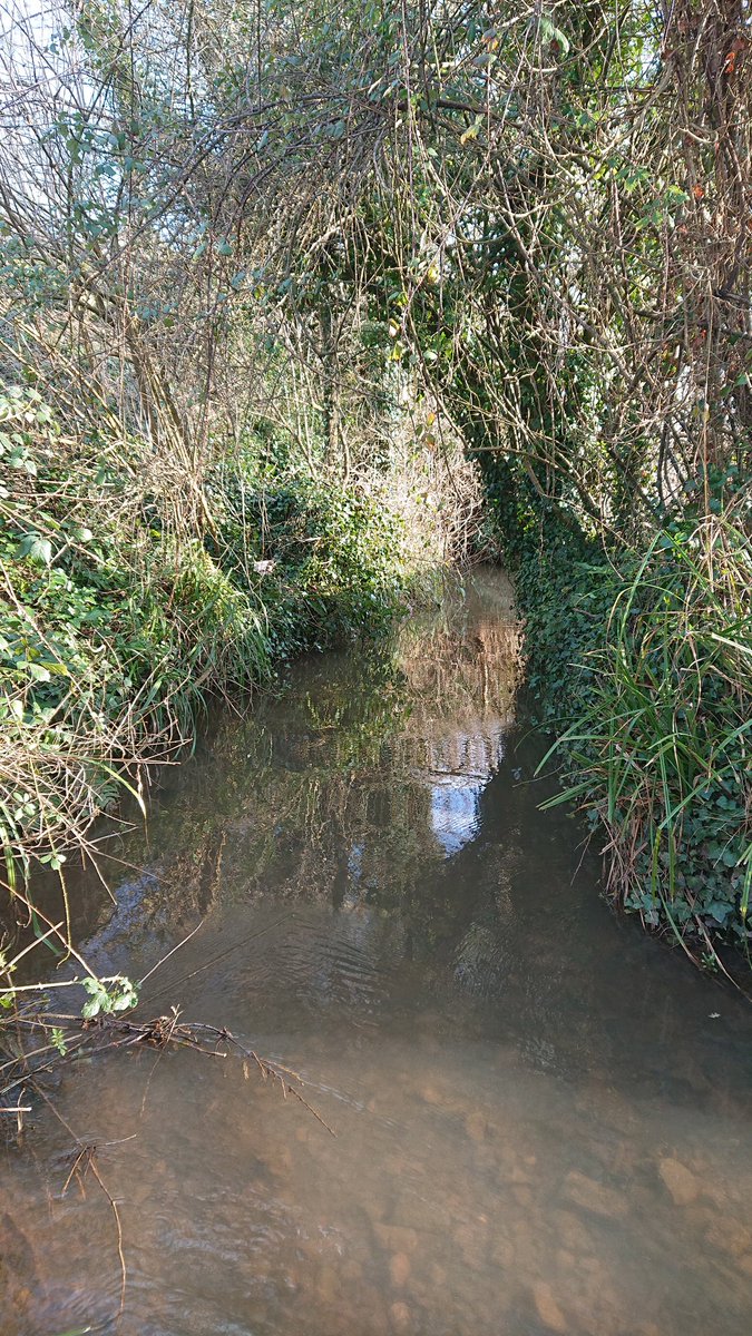 Pensford10k tweet media