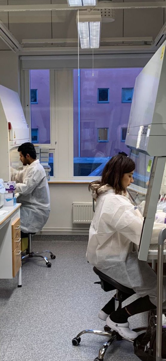 CARTHAGO 🇪🇺 tweet media