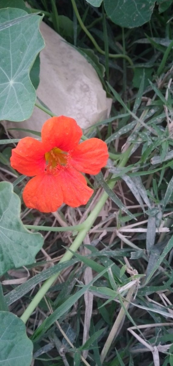 Que el amor una al mundo 
Que el deseo de cuidar nuestro Medio Ambiente nos lleve armonía con la Naturaleza.
#FelizMiercolesATodos 
#DiosEsAmor