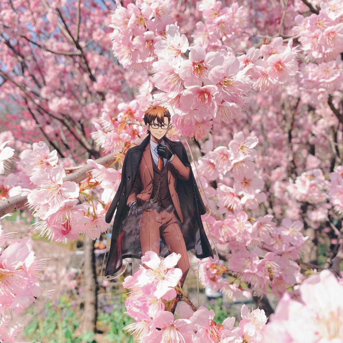 SepV1230's tweet photo. 🌸 https://t.co/vCOYYKyaYT