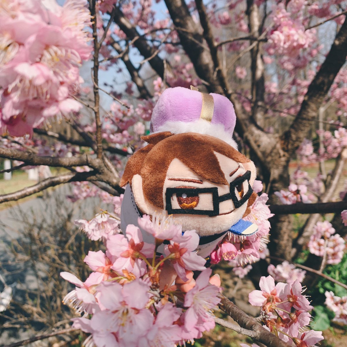 SepV1230's tweet photo. 🌸 https://t.co/vCOYYKyaYT