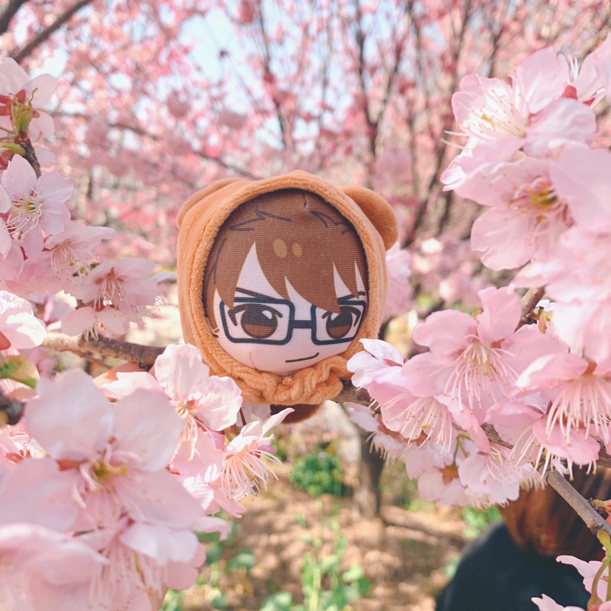 SepV1230's tweet photo. 🌸 https://t.co/vCOYYKyaYT