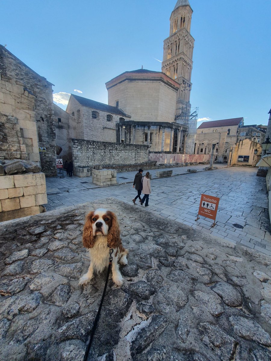 RJonTourUK tweet media