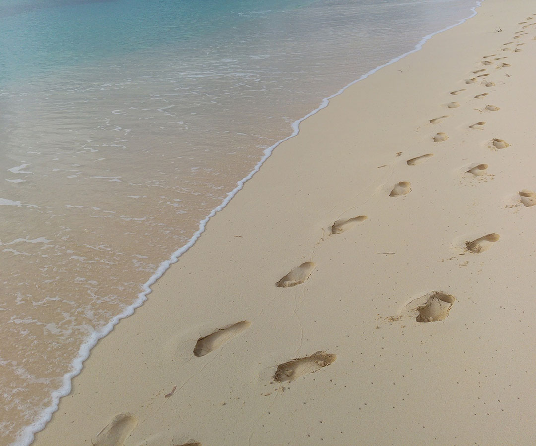 Big changes come from hundreds of tiny steps {and they all matter}. #feelthelove