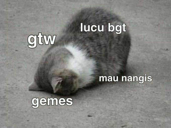 aku tweet media