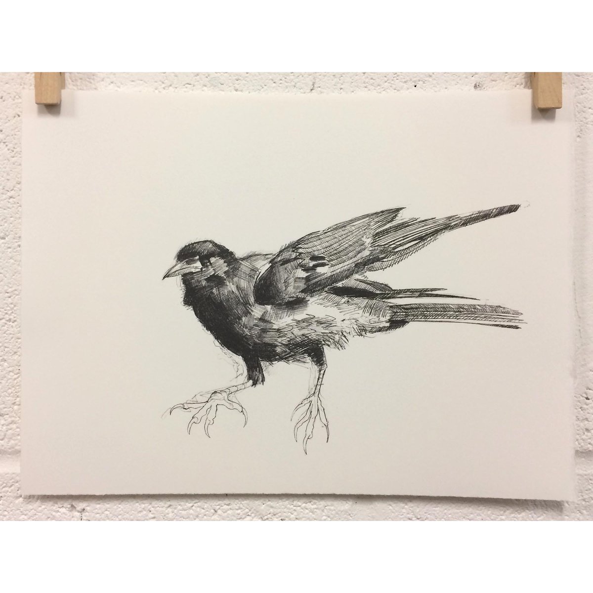 Holeeditions's tweet photo. We've collaborated with @paulnewmanart on these two special offer lithographs. We're donating profits to @unicef. Head to https://t.co/XBbMpfx4tC for more information and to order. https://t.co/9397w1pSlt