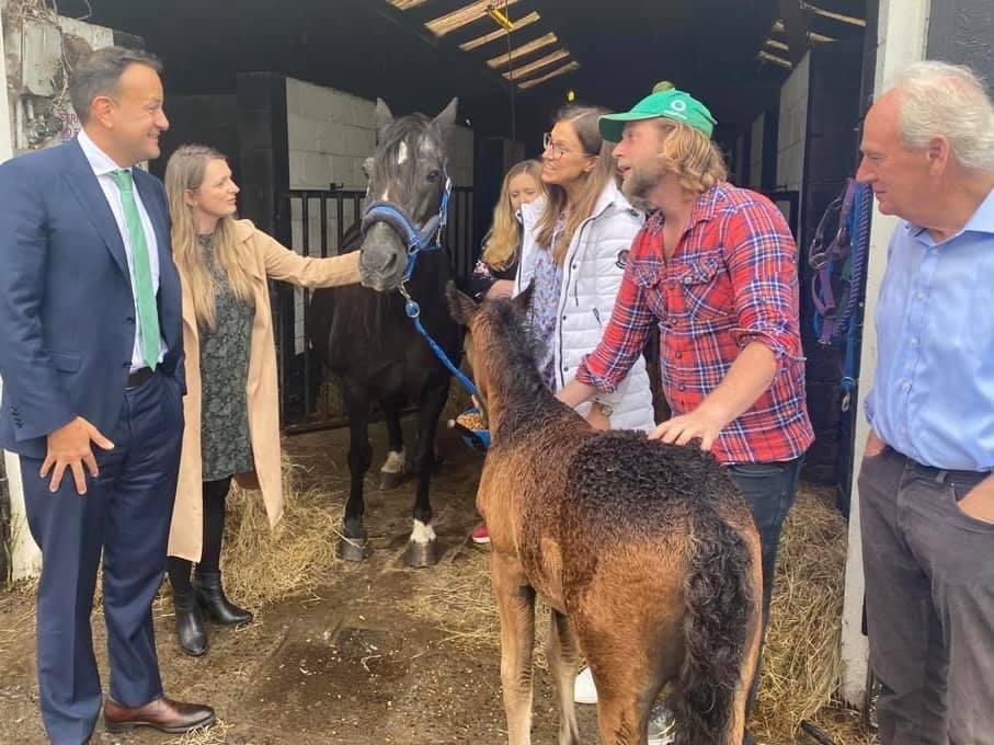 Emer Currie inactive account tweet media