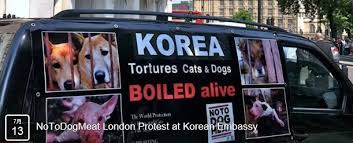 NeverGi19090195's tweet photo. 📌#TweetStorm 
#ツイートストーム 
#韓国 大統領選挙の日
#BanDogMeat　
#StopEatingDogs
#StopBoknal
#ボクナル
#개고기
#Yulin
#ユーリン
#犬肉祭
#動物好きな人と繋がりたい 

こんな残酷なこと、もうヤメテ‼ https://t.co/X28FdmtTdK