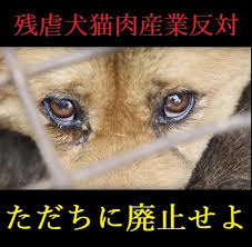 NeverGi19090195's tweet photo. 📌#TweetStorm 
#ツイートストーム 
#韓国 大統領選挙の日
#BanDogMeat　
#StopEatingDogs
#StopBoknal
#ボクナル
#개고기
#Yulin
#ユーリン
#犬肉祭
#動物好きな人と繋がりたい 

こんな残酷なこと、もうヤメテ‼ https://t.co/X28FdmtTdK