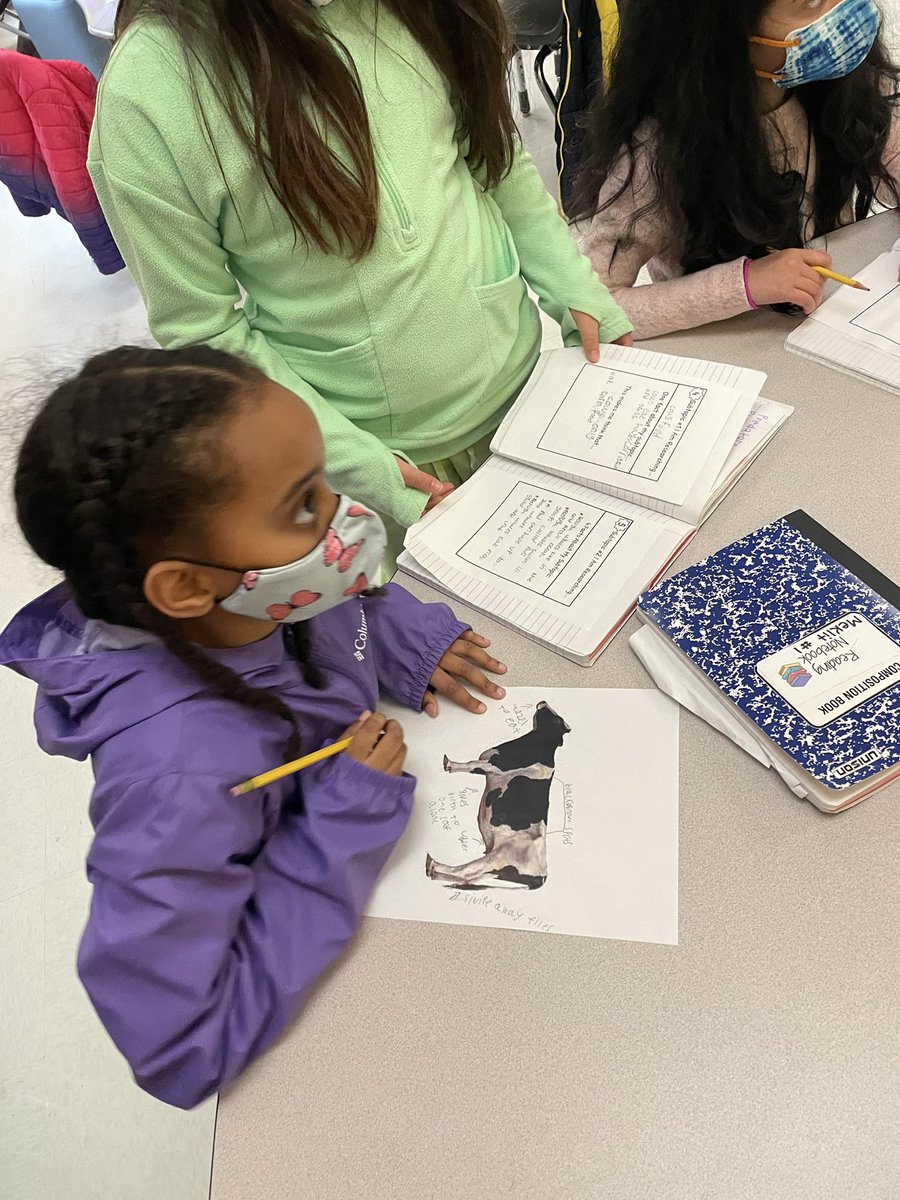 Mrs_Dudas3rd's tweet photo. Collaborating today on a diagram of our research animals to include in our public products @GoshenPostES #gpgators https://t.co/WCDrzDdgXz