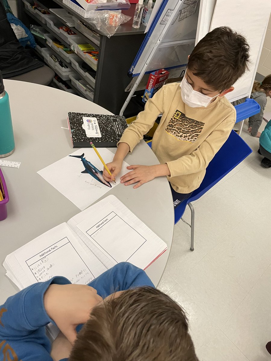 Mrs_Dudas3rd's tweet photo. Collaborating today on a diagram of our research animals to include in our public products @GoshenPostES #gpgators https://t.co/WCDrzDdgXz