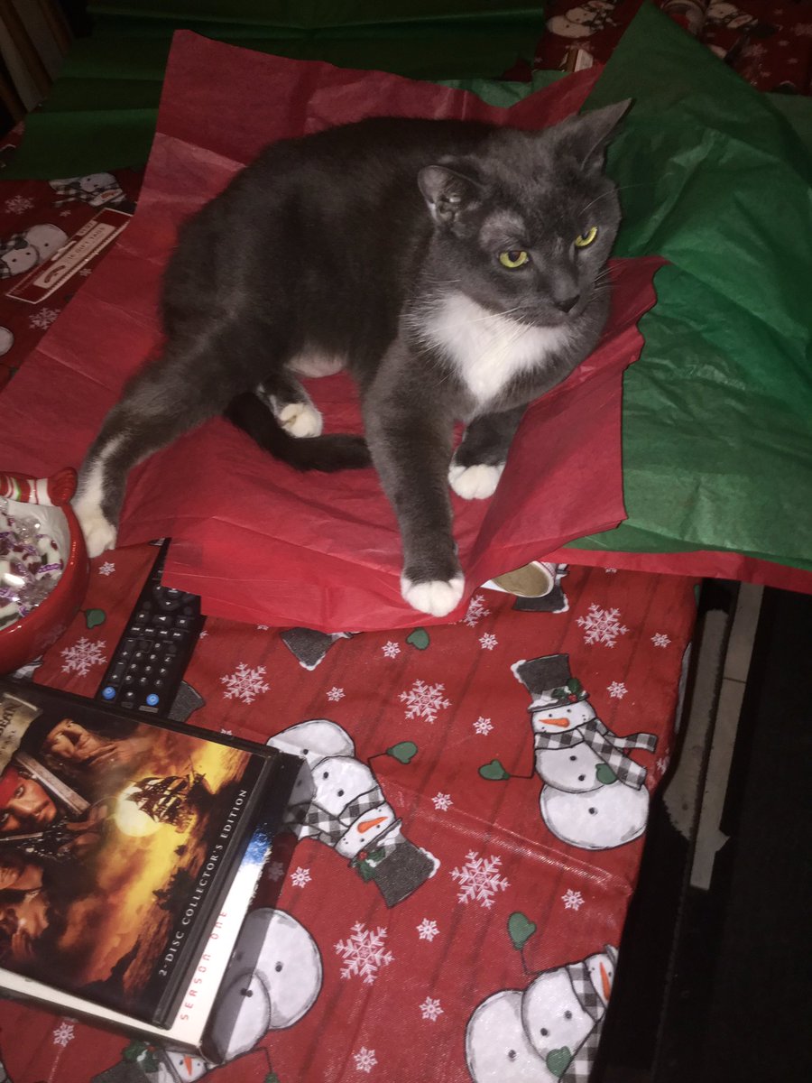 CodGodFlame's tweet image. Yesterday wasn’t a good day at all i had to put my cat Whiskers down but now he’s in heaven with my dog Bowser and when it’s my time to go to heaven I will see them again. 😃 😢