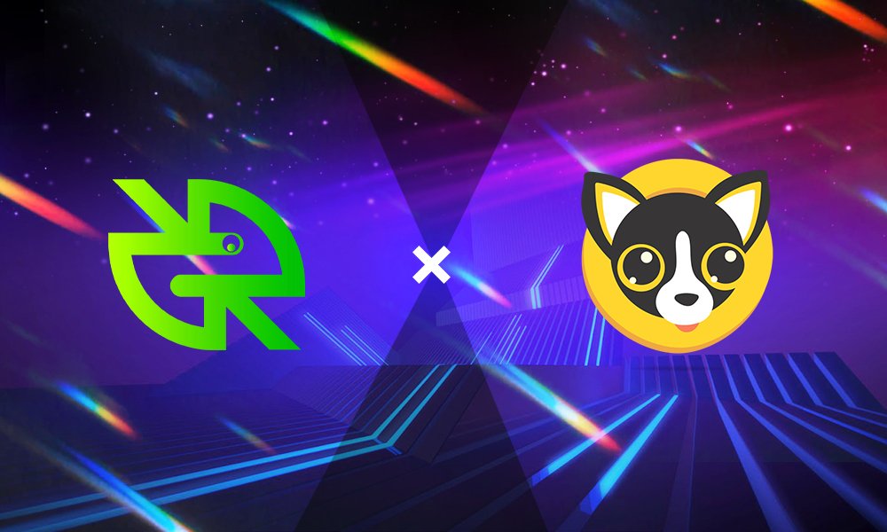 RangoExchange's tweet photo. 1/2 We are thrilled to announce we have successfully integrated @ChihuahuaChain 🚀
This integration includes:
🔸 @osmosis integration of #HUAHUA token 🧪🐶
🔸IBC from Osmosis and Chihuahua block-chain. https://t.co/JoSv515nrP