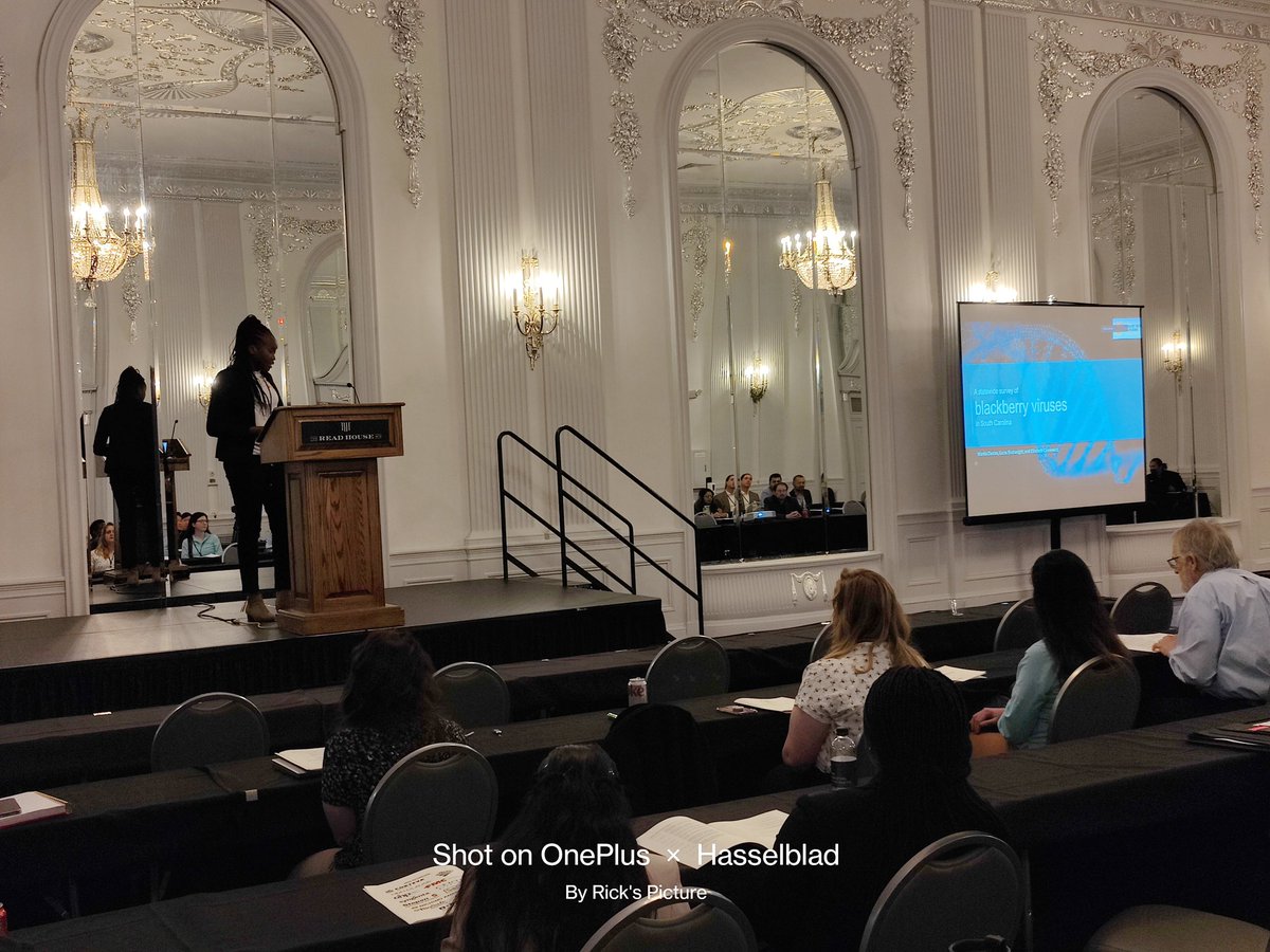 danteswanou's tweet photo. Received positive feedback from several outstanding scientists for my talk at #99thAPSSD .
Thanks to my collaborators,extension agents and blackberry growers in SC. Special thanks to my committee members, my advisor @ejcieniewicz ๐งก๐and the @sd_aps platform. #Clemsongrad https://t.co/4CKt8P199Y
