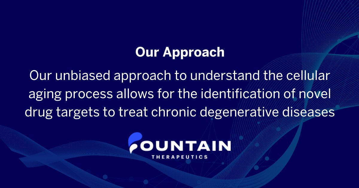 Our platform uses an unbiased approach to understand the cellular aging process. This allows us to identify novel drug targets to treat chronic degenerative diseases. Learn more about our platform that combines aging research and computation here: bit.ly/3KSN5eN