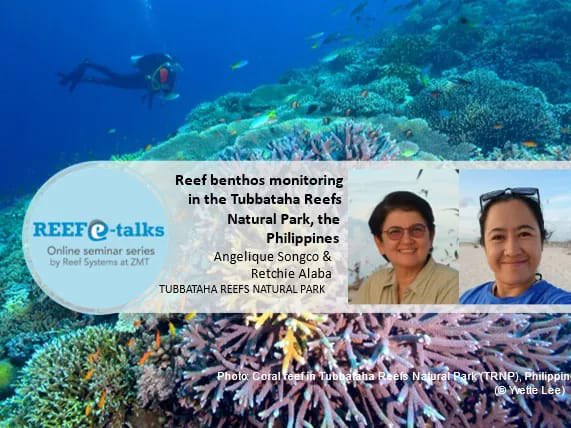 Monitoring and managing the Tubbataha Reefs Natural Park. Hear all about it here: us02web.zoom.us/meeting/regist… in our March Reef e-talk by Angelique Songco &amp; @Retch418 (Tubbataha Reefs Natural Park) on 16th Mar at 5 pm (Manila time) 10 am CET. #LeibnizZMT