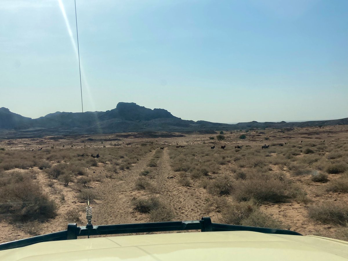 palaeobeth's tweet photo. That feeling when you finally get to your field site 22 months into your 24 month postdoc. #PostdocProbs https://t.co/ZGSBzqtMpu