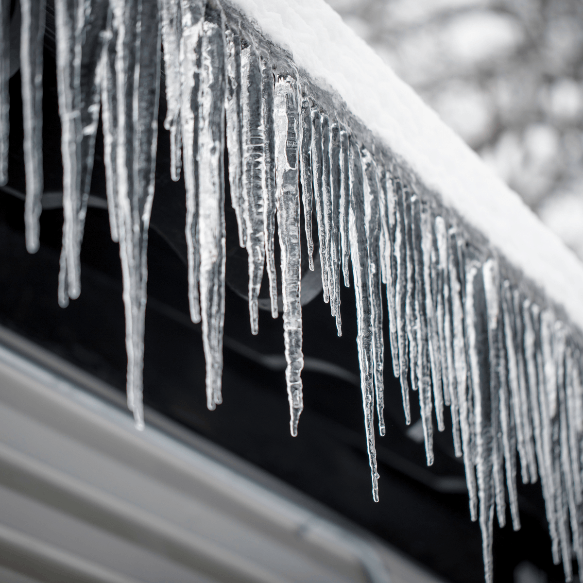 fwaveroofing's tweet photo. The ice from icicles can get underneath your shingles and cause leaking and water damage to your home. Compared to asphalt shingles, polymer composite shingles are naturally better designed for water-shedding and more resistant to moisture 💪 #fwave #winterstorms #icedamage https://t.co/1D1Jd4mF72