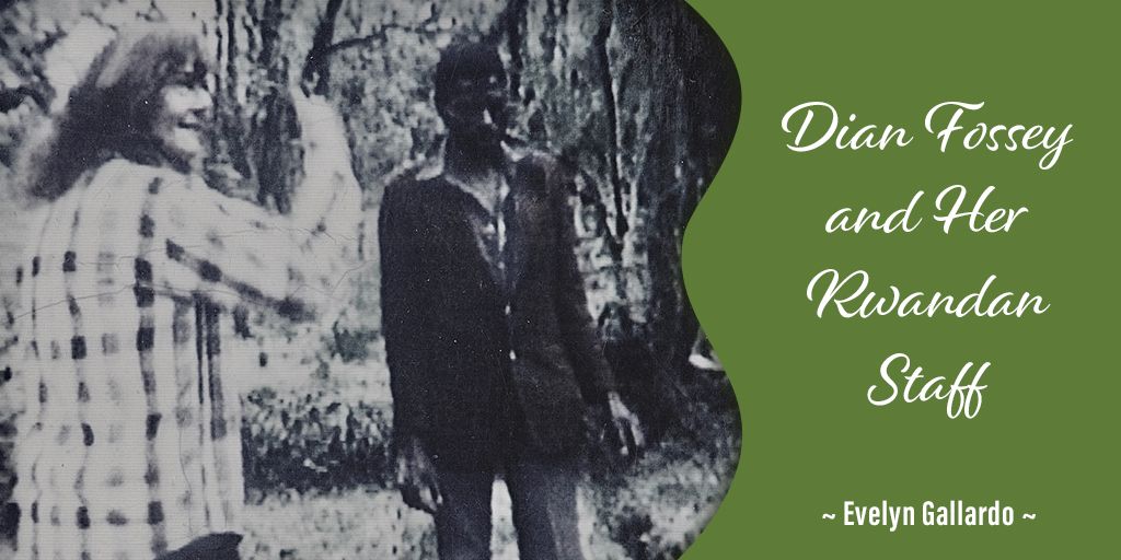 EvelynGAuthor's tweet photo. Regardless of what you may have heard, Dian Fossey truly appreciated her Rwandan staff. 🙂

Download the first chapter of my book “Voices from the Mist: The Last Days of Dian Fossey” at https://t.co/ePg2pKTQL1 https://t.co/78N9omHqia