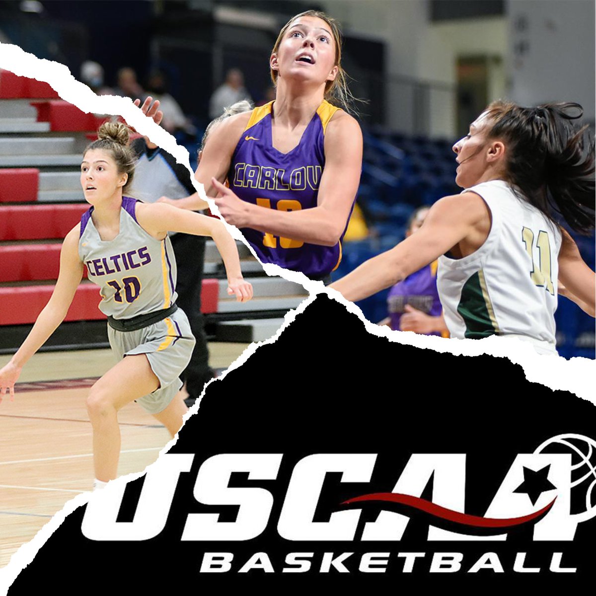 gymratpt's tweet photo. #GymRatPT trainee @sydcarr12 (@CarlowWBB) earns honorable mention ALL AMERICAN honors in the @USCAA as a freshman!

💻: https://t.co/i27xcaJmbd https://t.co/Mr77eBXMLl