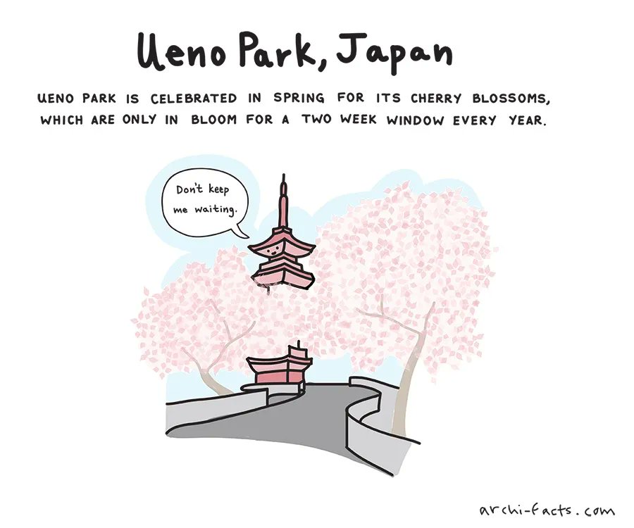 ArchifactsComic's tweet photo. It's romantic for two weeks of the years. What about the other weeks? 💐 
 #architecture #travel #cute #webcomic #comic #archifacts #uenopark #japan #cherryblossoms https://t.co/WN9fFYgBUL