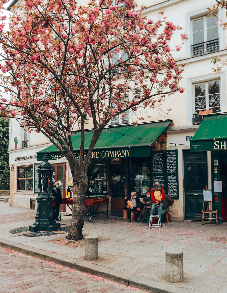 VIParis's tweet photo. Think spring! #Paris #Travel #France #WednesdayMotivation #Trip #Wednesdayvibe #Flowers 📸Celine Ylmz💖💞 https://t.co/e3hC3d8JSr