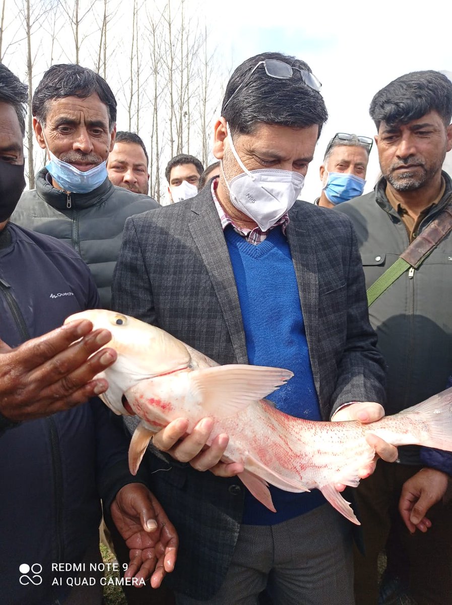 FISHERIES BUDGAM tweet media