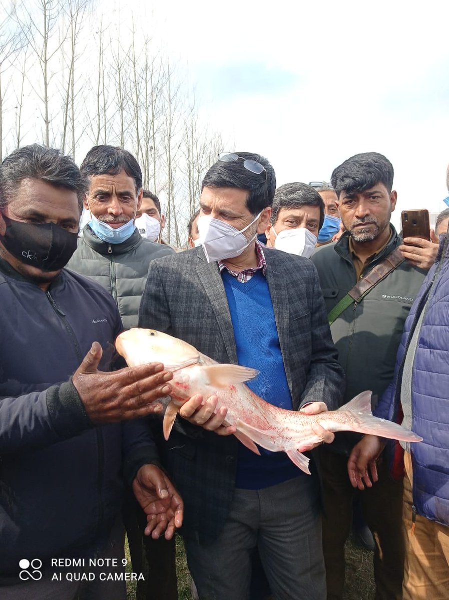 FISHERIES BUDGAM tweet media