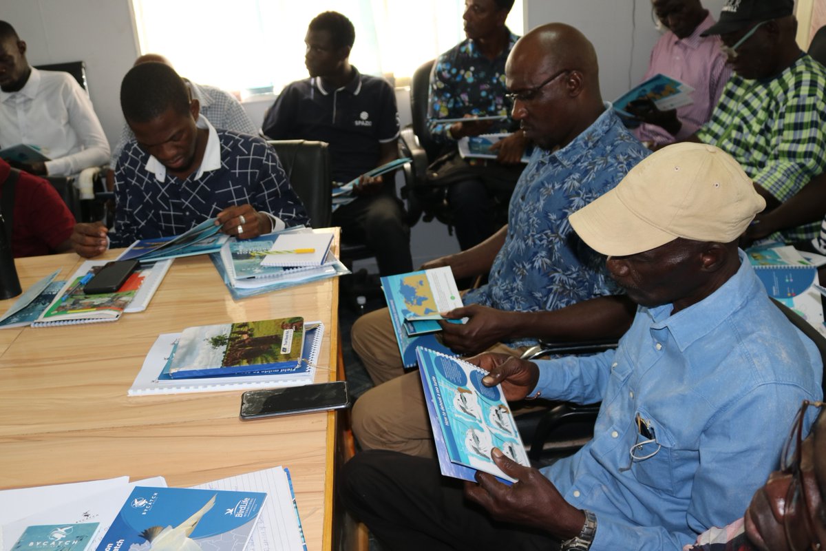 BirdLifeAfrica's tweet photo. ✅ 40 fisheries observers, 3 staff from the Vessel Monitoring System unit + 1 statistical data manager were trained last week in the Gambia on protocols for collecting data on the incidental catches of seabirds 🐦 and sea turtles 🐢 in industrial fisheries. 

@MavaFdn #bycatch https://t.co/NgHOX4s5uP