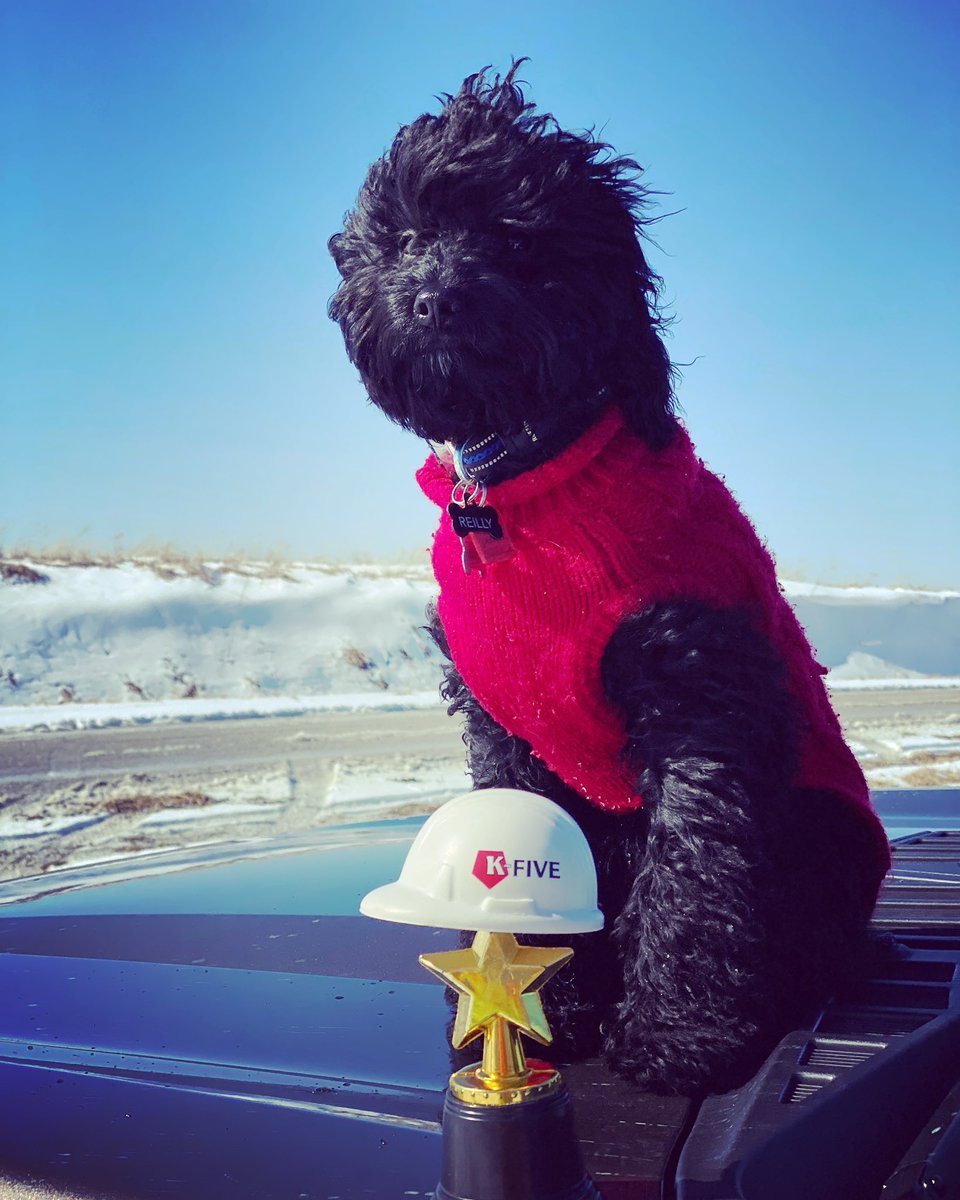 KFiveConst's tweet photo. K-Five’s latest recruit is scouting some exciting new project opportunities. We appreciate his commitment, and his coordinating dog sweater.
#kfiveteam #construction #kfive #kfiveontheroad #puppy
Photo credit: Bryan Warrick https://t.co/zxPqtrrJue