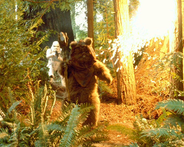 officialpix's tweet photo. LAST CALL for #DirkBenedict, #DonaldFullilove, #HarryWatersJr, #ClaudiaWells & #KevinThompson Pre-Orders! Select from dozens of options through TODAY ONLY & be sure to grab your signed copy of Kevin's brand new book "My Journey To Endor" too! Head to https://t.co/t6MnNM2TaA now. https://t.co/aCdZrGVi32