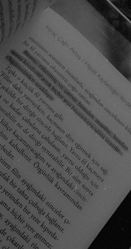 Ceren (@ceren_xn12) on Twitter photo 