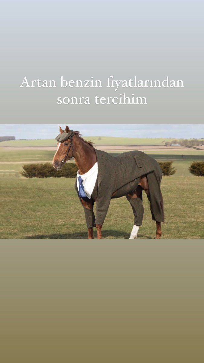 cansubaydas's tweet photo. Ayağını yorganıma göre uzat🤣 https://t.co/BGBUPfw8qd