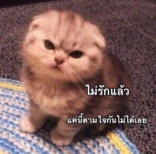 พี่ทำไรพวกเธอยัง