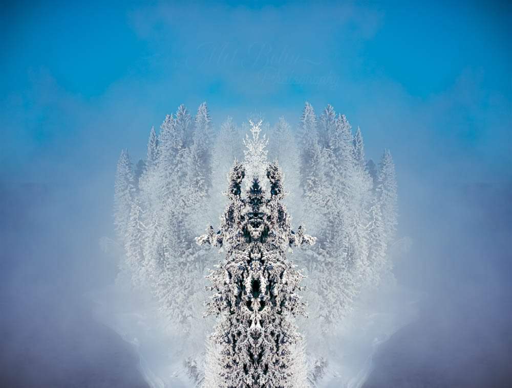 meloncatus's tweet photo. 'Fog Frosted Foliage'
On this exceptionally cold morning the fog from the North Saskatchewan River is creating a heavy layer of frost on the trees. I enjoy the whimsical air created in this image. Captured this image February 2019 in the AB Rockies
#redbubble #photoart #frost https://t.co/SfaRwhpEYS